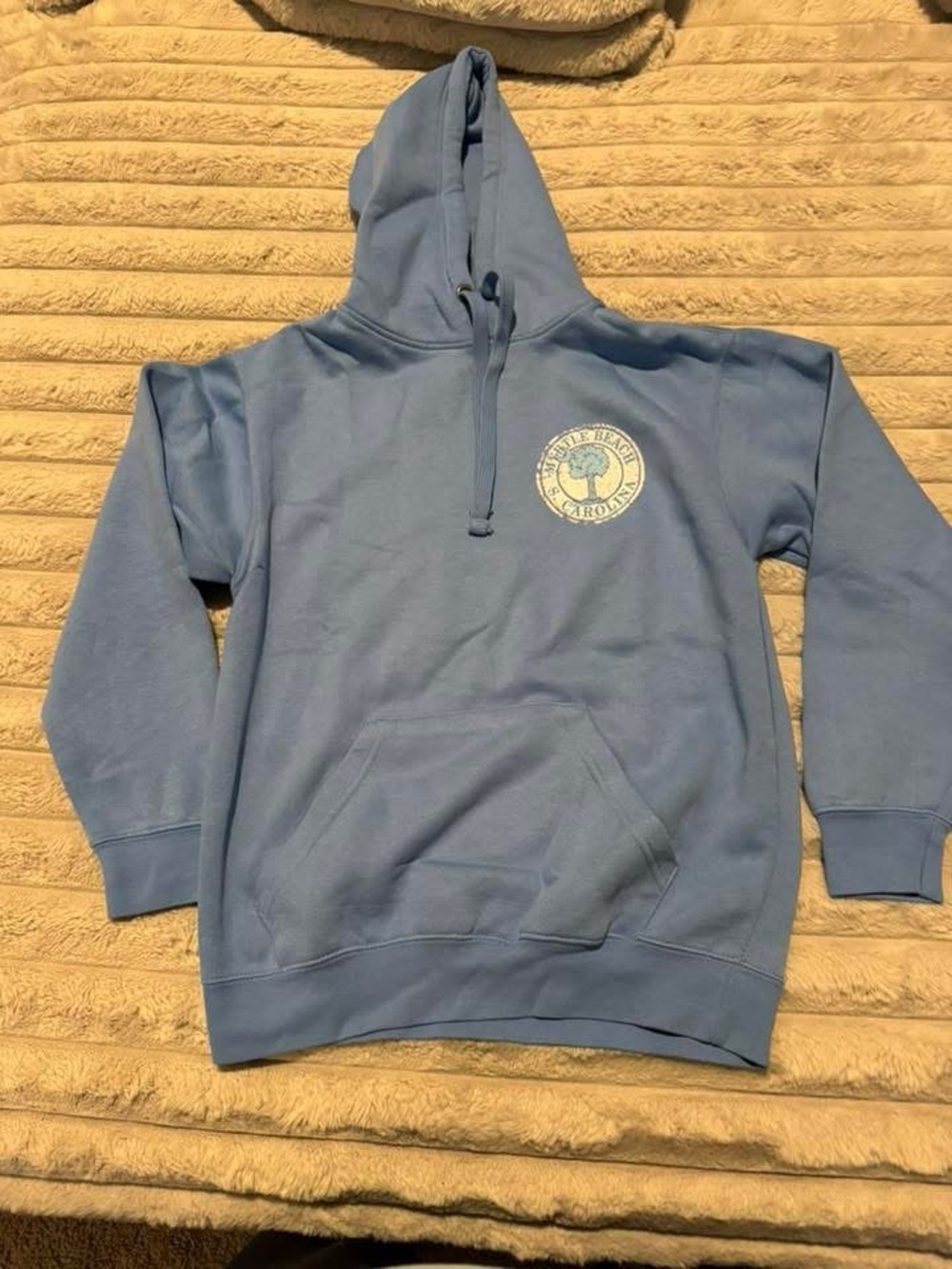 Light Blue Pullover Hoodie with Chest Emblem